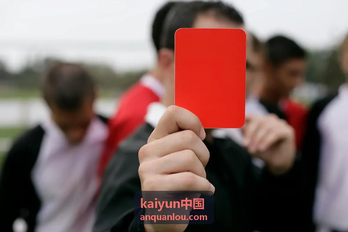 kaiyun中国服务指南中的资料整理与对接准备示意
